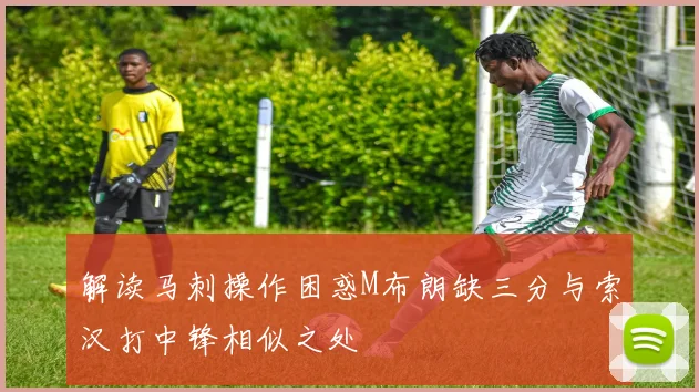 解读马刺操作困惑M布朗缺三分与索汉打中锋相似之处