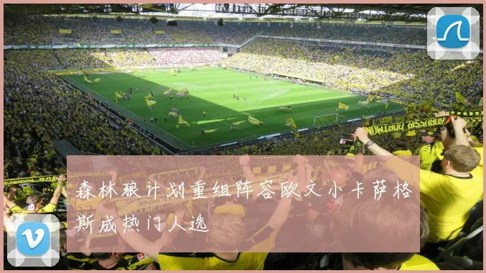 森林狼计划重组阵容欧文小卡萨格斯成热门人选